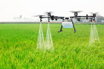 Drone i agrikultur