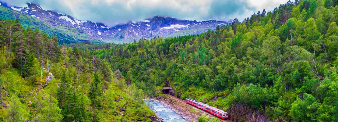 Naturviternes 25 gode grunner til å ta toget