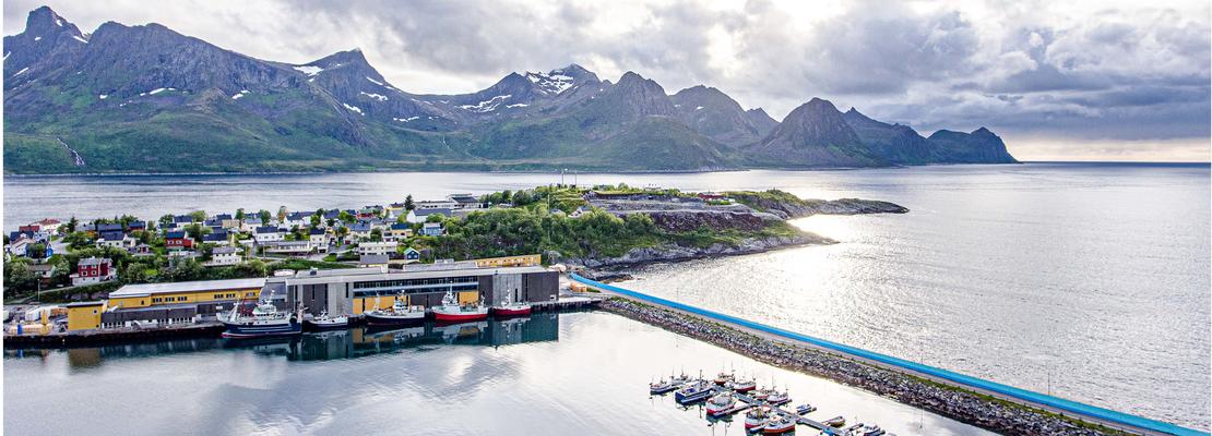 Husøy er ei øy, et fiskevær og et tettsted i Lenvik kommune i Troms